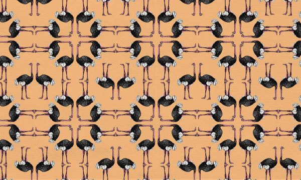 algodón orgánico estampado con geometría de avestruces sobre fondo mandarina