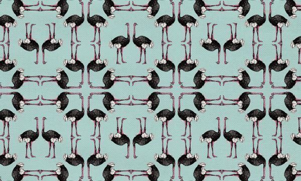 Tela de algodón orgánico estampada con juego geométrico de avestruces sobre fondo de color turquesa.