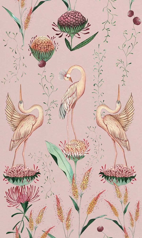 Papel de pintado de garzas sobre flores proteas y fondo rosa